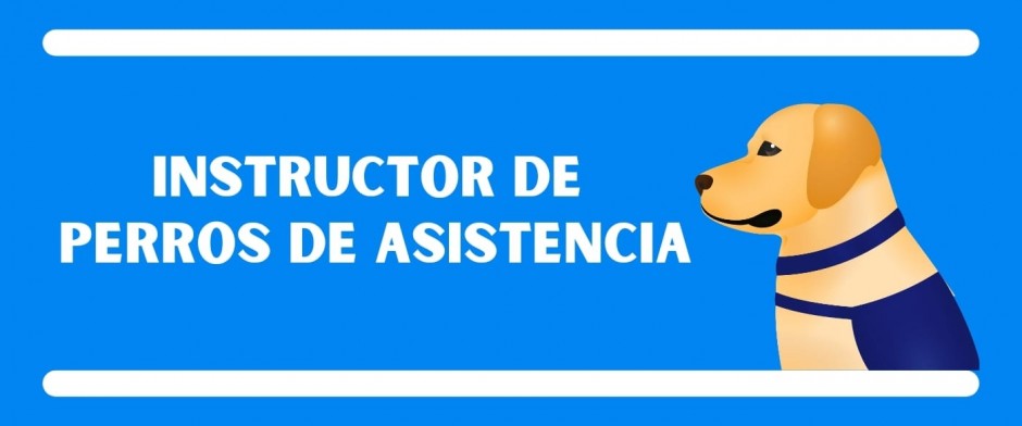Instructor de perros de asistencia 2024